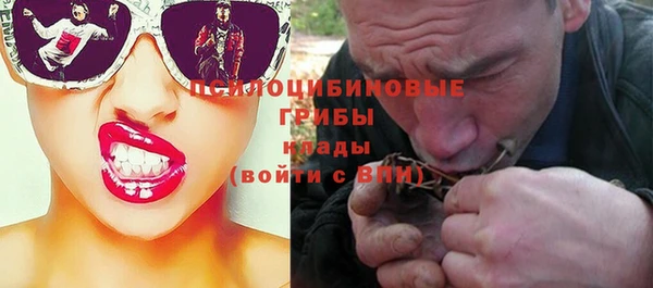 бошки Армянск