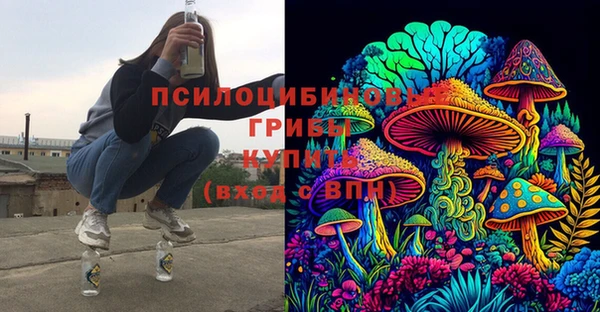 не бодяженный Аркадак