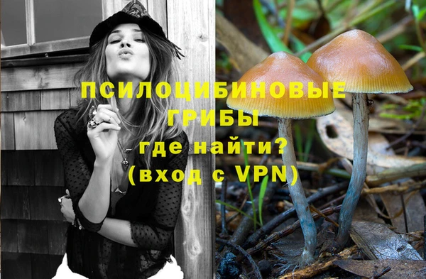 не бодяженный Аркадак