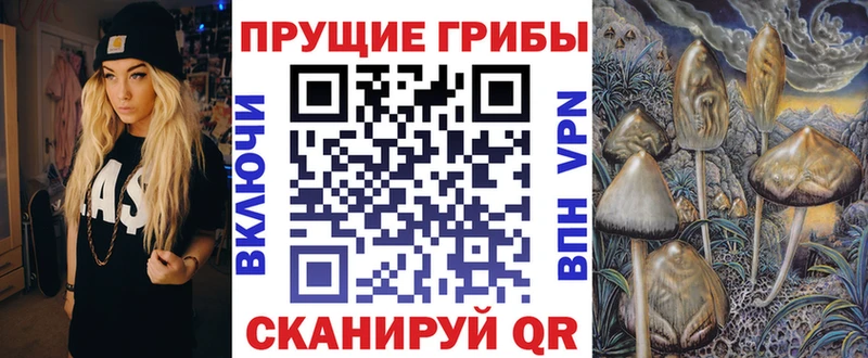 купить наркотик  Гулькевичи  Галлюциногенные грибы Magic Shrooms 